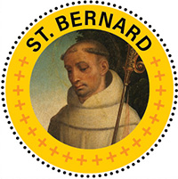 St. Bernard