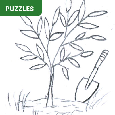 puzzles_feature-image