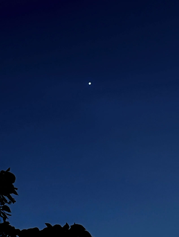 A photo of the planet Venus