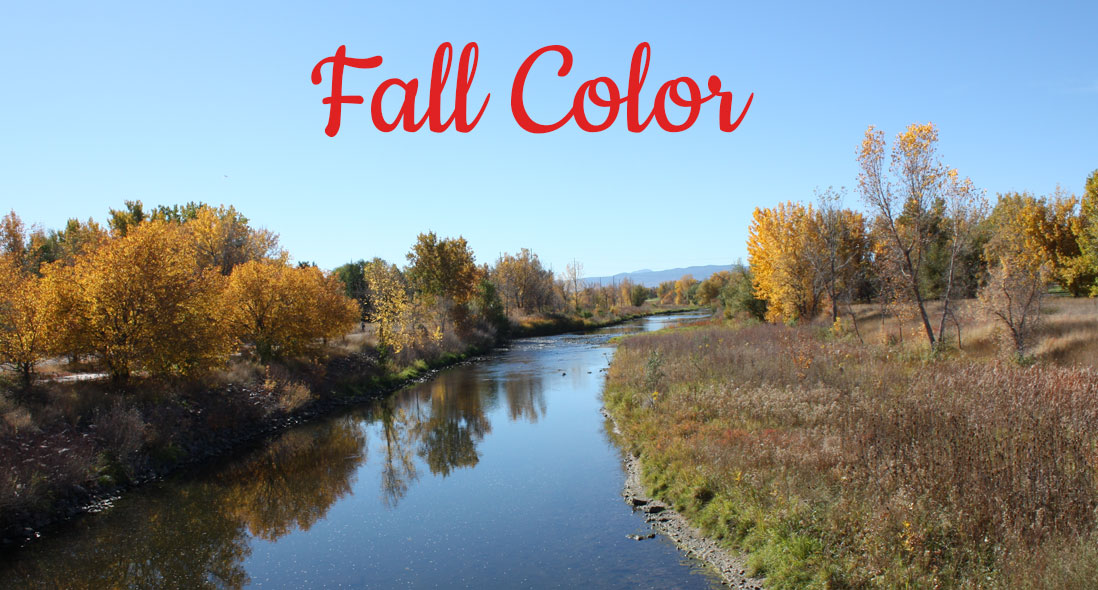 Colored trees along the Platte.